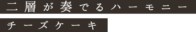 二層が奏でるハーモニーチーズケーキ