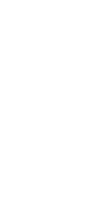 生パスタバゲット付